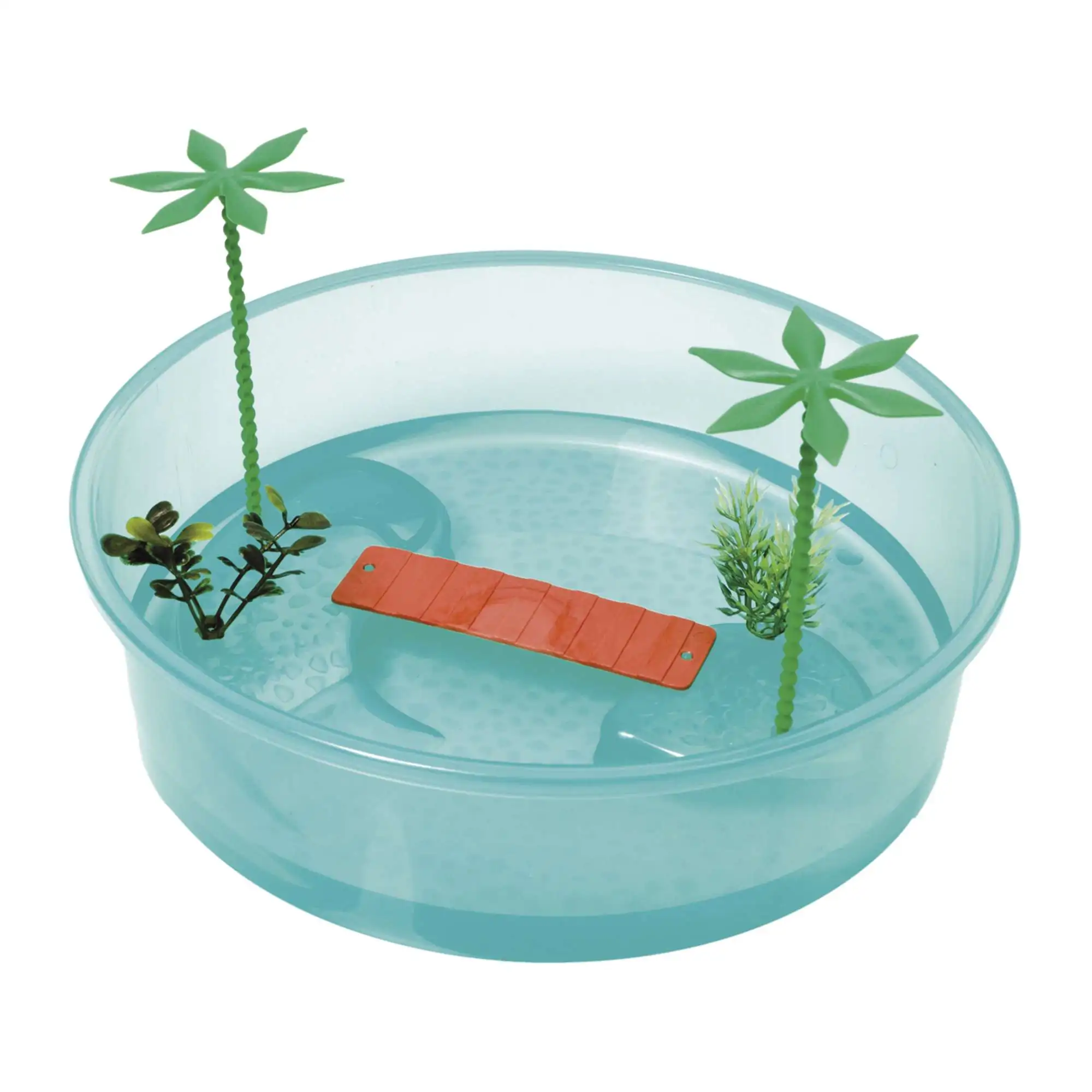 Tortuguera redonda con palmeras